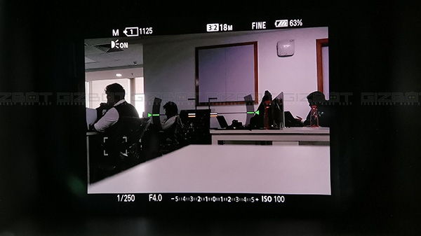 Superb Electronic Viewfinder 