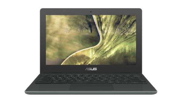 ASUS Chromebook C204