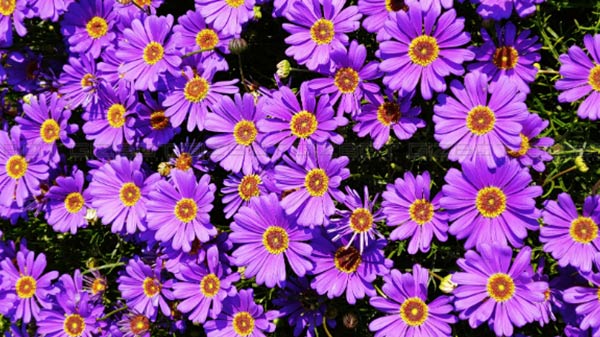 How’s the image quality?