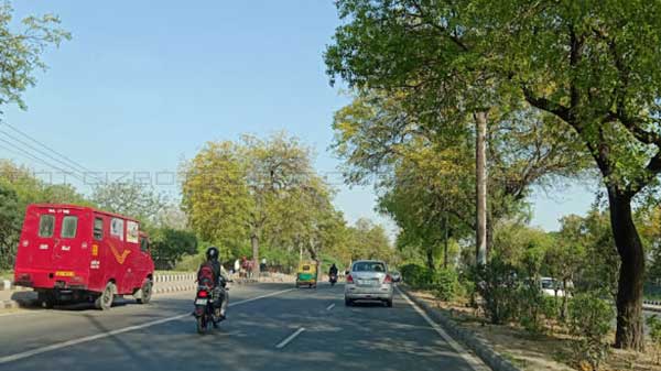 Rear Camera Performance