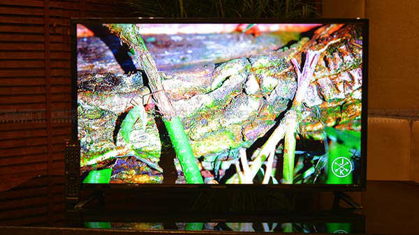 Display: Bright and Vivid picture output