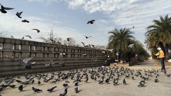 Wide-angle Lens adds a new perspetive to mobile photography