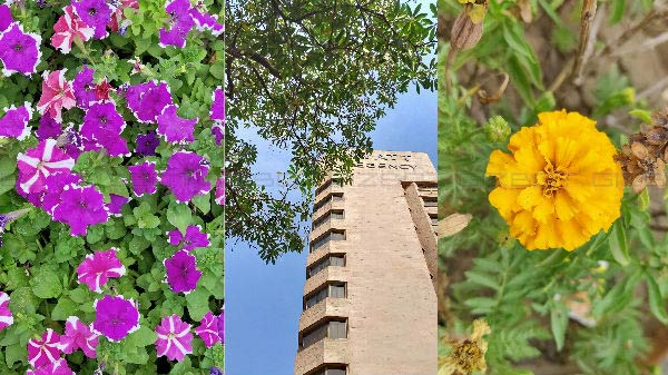 Camera Performance- Excellent daylight camera