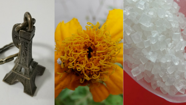 Macro Photography on P30 Pro 