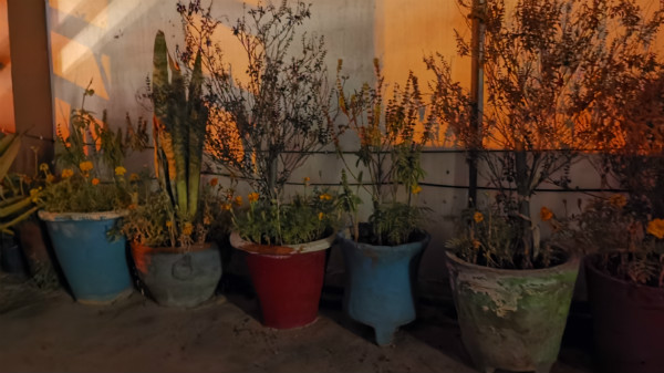 Shot captured in absolute dark