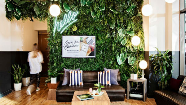 India is home to several startups turned big businesses