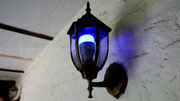 Can Last Really Long?