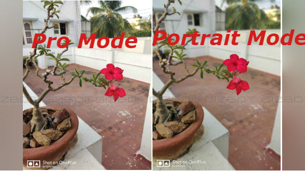 OnePlus 7 Camera Modes – How To Capture 48MP Photos And Night Shots OnePlus 7 Camera Modes – How To Capture 48MP Photos And Night Shots