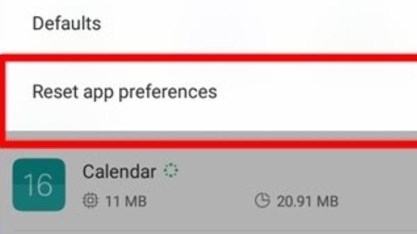 Reset the App Preferences