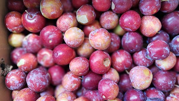 12MP Pixel-Binned Shots