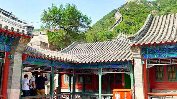 48MP+5MP Dual-Lens Rear Camera, Sony IMX Sensor, F/1.7 Aperture