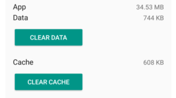 Clear Google App cache