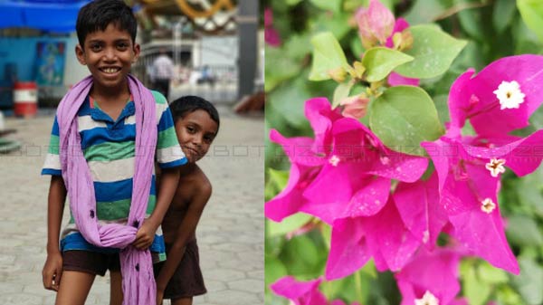 Portraits On Redmi K20 Pro Portraits On Redmi K20 Pro