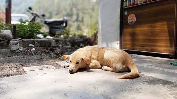 Pleasing Portrait Shots