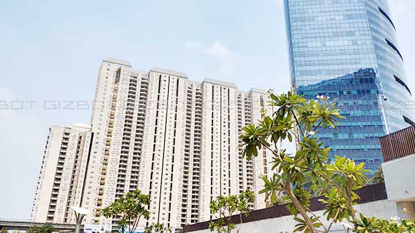 Still Camera Performance