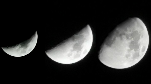 Who Wins The Battle?