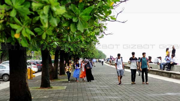 Select The Ideal Lens Depending Upon Your Frame