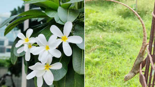 Portrait Photography