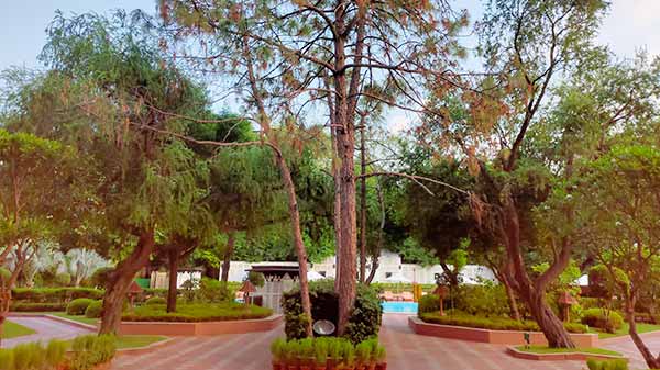 Red Tint In Pictures Shot On 64MP Sensor