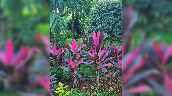 Camera – Handles All Situations Like A Pro 