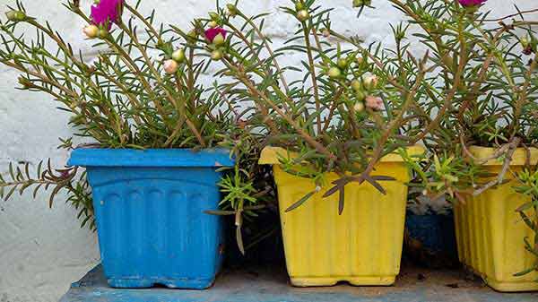 Sluggish Camera Application