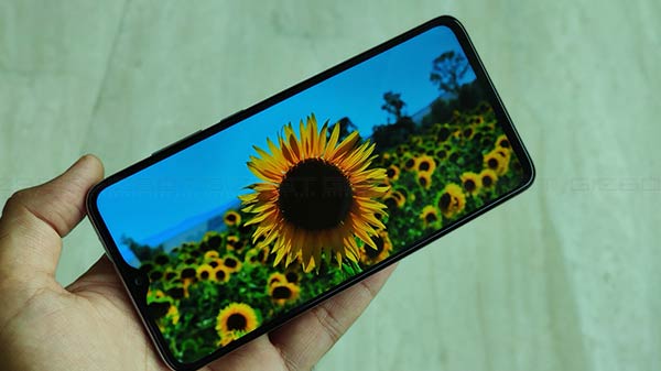 Display- 6.53-inch IPS LCD panel, HDR-Enabled, 91.6% Screen-to-Body Ratio