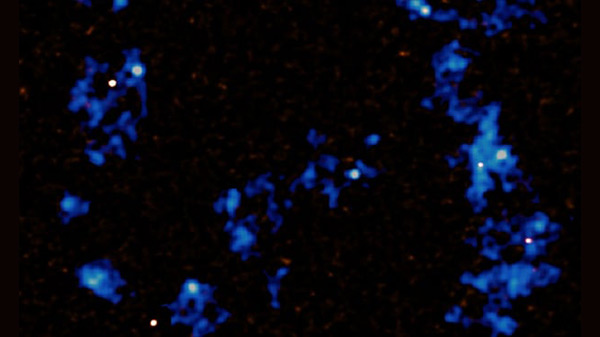 Cosmic Web Observed Directly