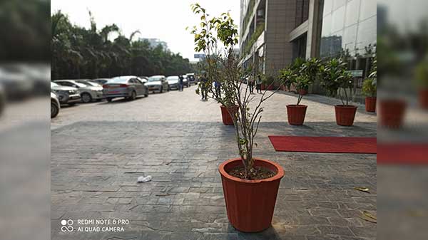 Impressive Portraits, Decent Macros, Underwhelming Wide-angle Shots