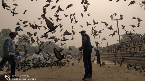 Redmi Note 8 Camera- All-Rounder Budget Camera Phone