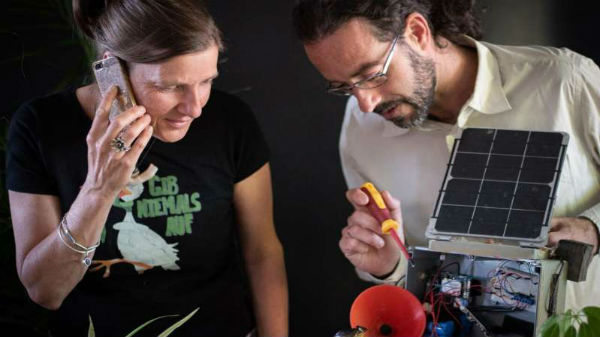 FrogPhone To Help Researchers Measure Wild Frog Population