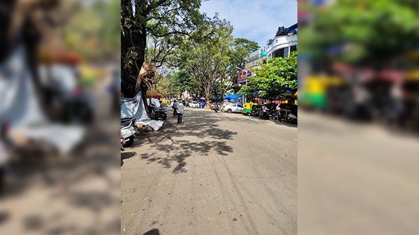 Vivo V17 Daylight Camera Sample 