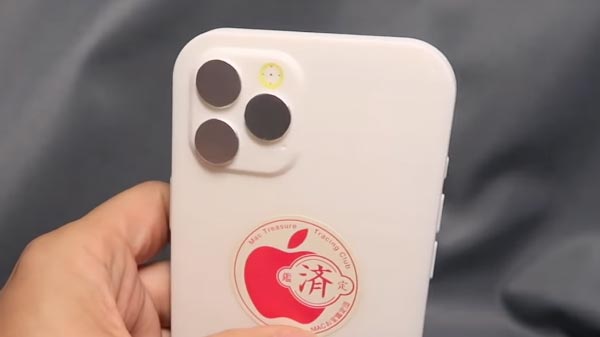 Large Camera Sensors