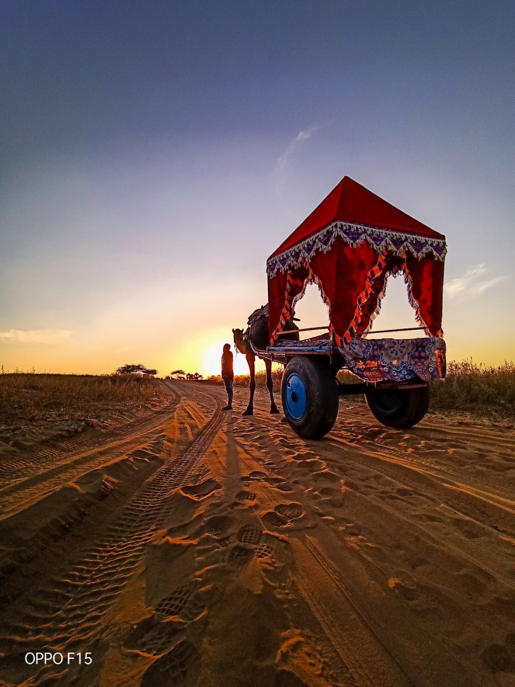 OPPO F15: A brilliantly designed Smartphone Under Rs. 20,000