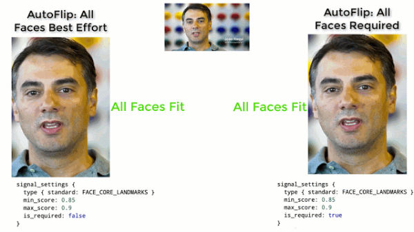 What Does Autoflip Do?