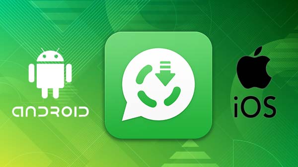 Steps To Save WhatsApp Status Videos And Images On Smartphones