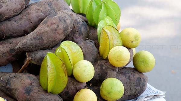 Image Quality- Good Contrast And Impressive Details in Daylight