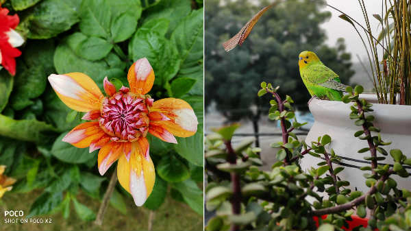 Noticeable Shutter Lag With 64MP Camera Mode