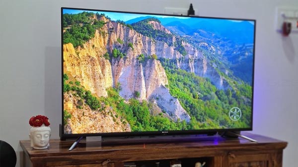 49” 4K LED Panel With HDR 10 Support