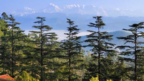 Capable Camera Hardware With Inconsistent Software