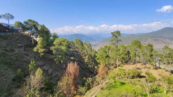 Decent Wide-angle Shots