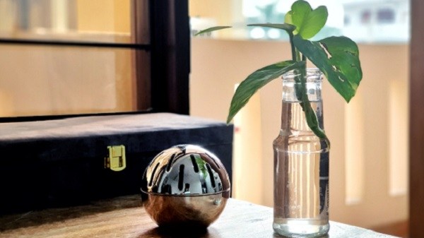 Other Portable Home Gadgets To Reduce EMF Exposure