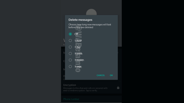 WhatsApp Gets Auto Delete Message Feature With Latest Beta Update WhatsApp Gets Auto Delete Message Feature With Latest Beta Update
