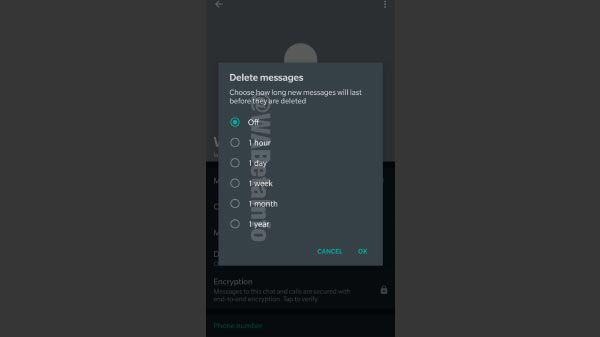WhatsApp features