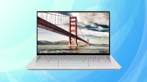 Asus Chromebook Flip C434TA-DS384T Laptop
