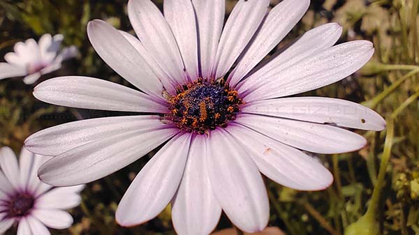 4K Videos @ 30fps With EIS Support