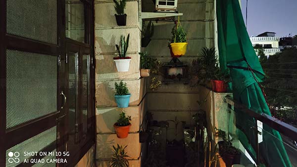 Low-Light Camera Results