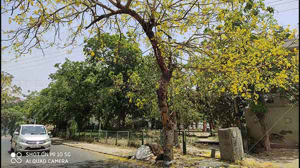 Powerful Tools For Content Creation