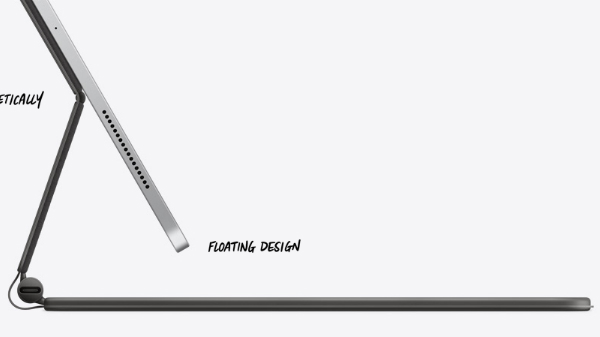 Which One Should You Pick?