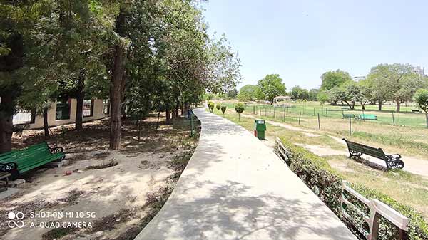 Wide-Angle Lens Camera Performance