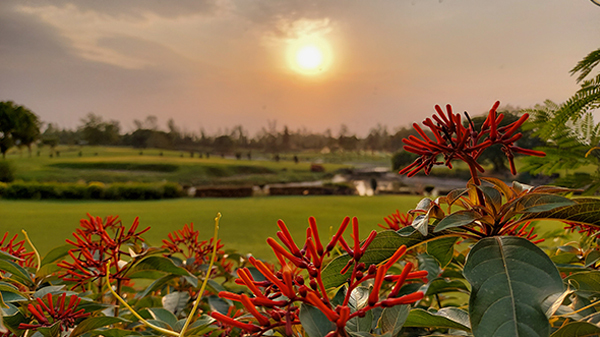 Why Is Super Steady OIS On Galaxy S10 Lite Far Superior Than Normal OI